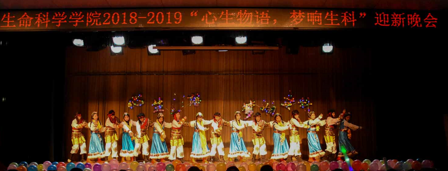 民族舞蹈.png 民族舞蹈.png