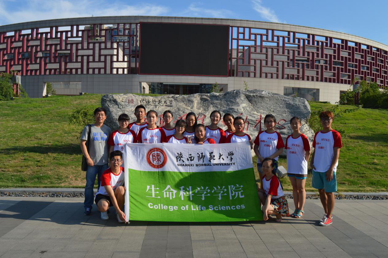图片1.png 图片1.png