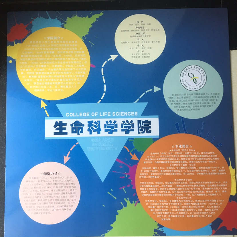 A6DBB5ECBF0727B2238D3BF408C89316.jpg A6DBB5ECBF0727B2238D3BF408C89316.jpg